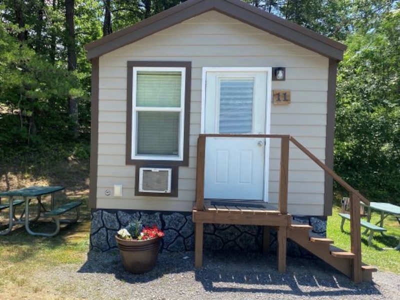 Bear Essentials Cabin-1